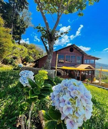 Casa 1800 Los Naranjos Boutique Hotel Kültér fotó