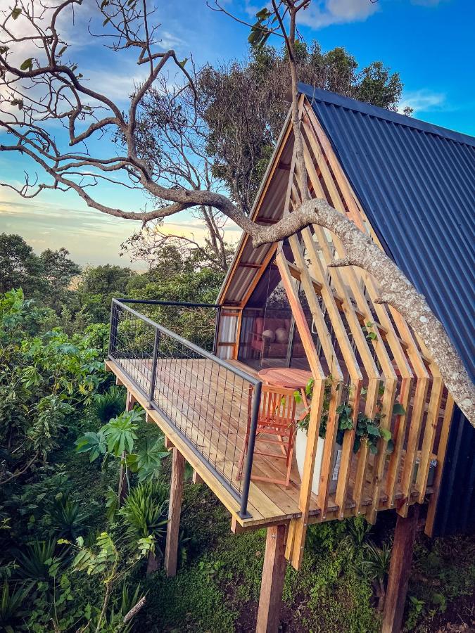 Casa 1800 Los Naranjos Boutique Hotel Kültér fotó